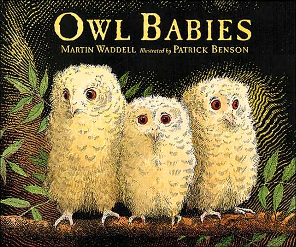 "Owl Babies" Board Book