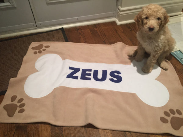 Zeus, Toronto ON